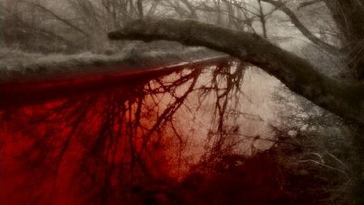 si au luat viata din mandrie demnitari care s au sinucis in urma unor scandaluri de coruptie