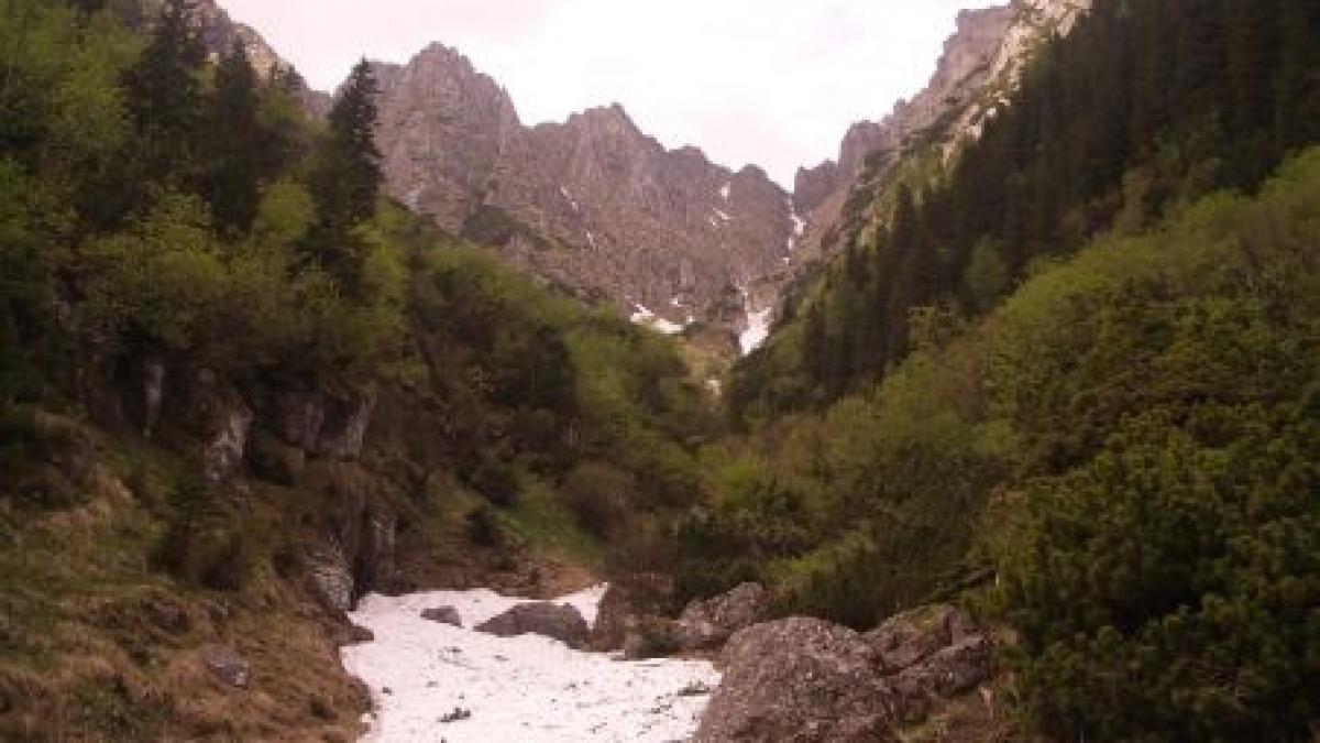 un turist a fost luat de viitura in masivul bucegi