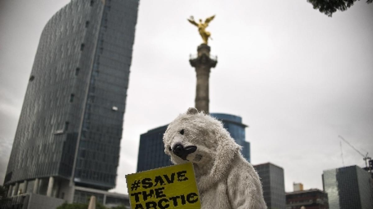 campanie greenpeace pentru interzicerea forajelor petroliere in zona arcticii sustinuta de actori