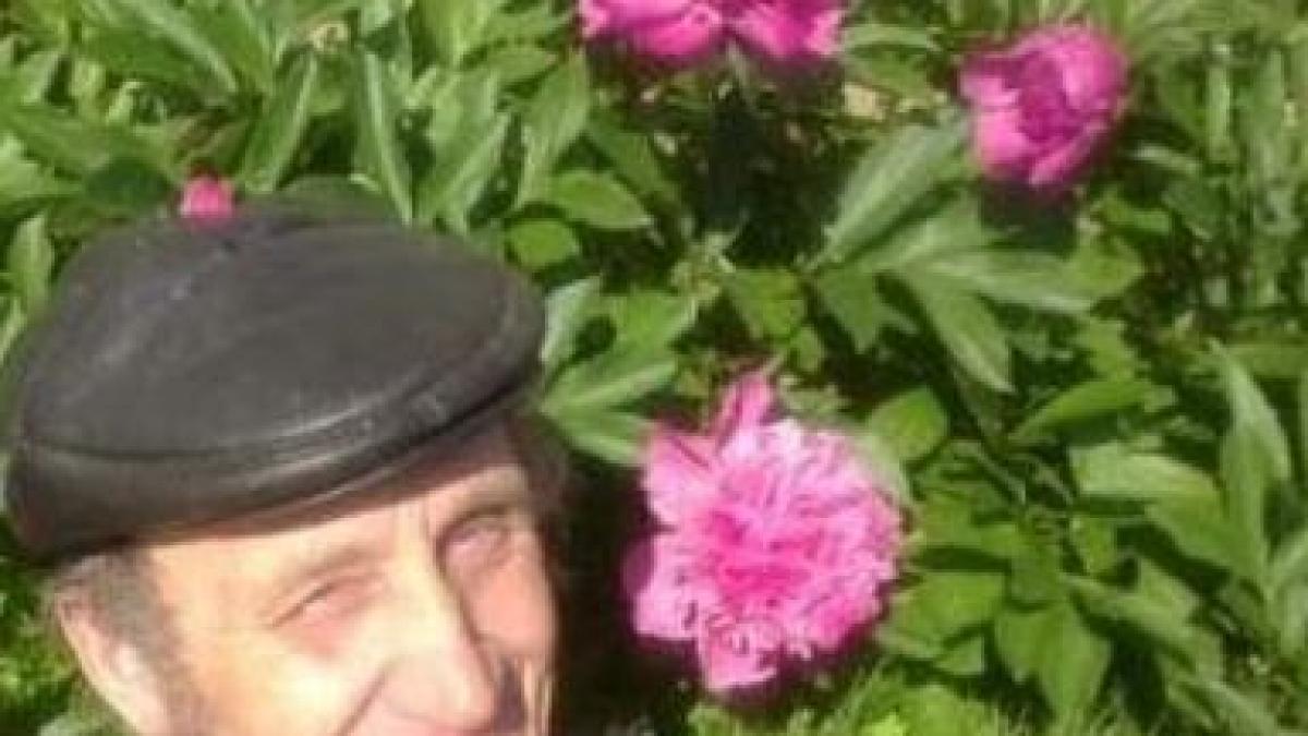 ce s a intamplat cand tataie a descoperit facebook ul imaginile care te vor distra copios