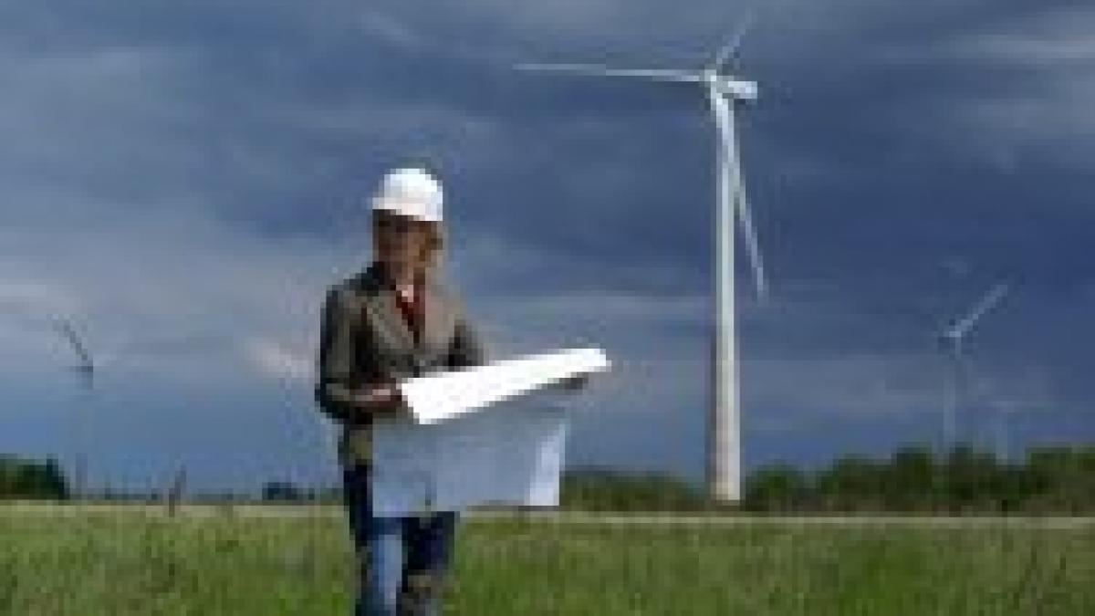 lupta nedreapta cu morile de vant cine pierde in acest razboi atat de profitabil