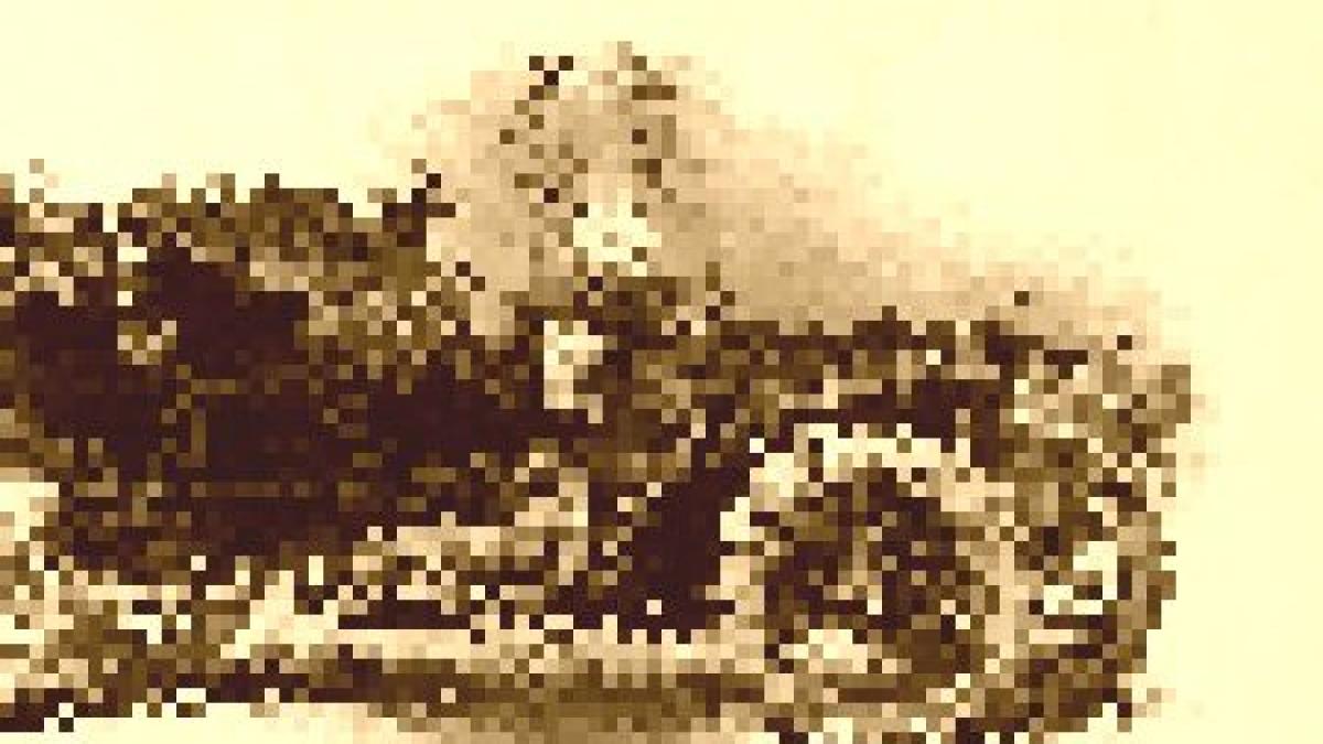 reclamele care au revolutionat lumea la vremea aceea numai excentricii cumparau acest produs