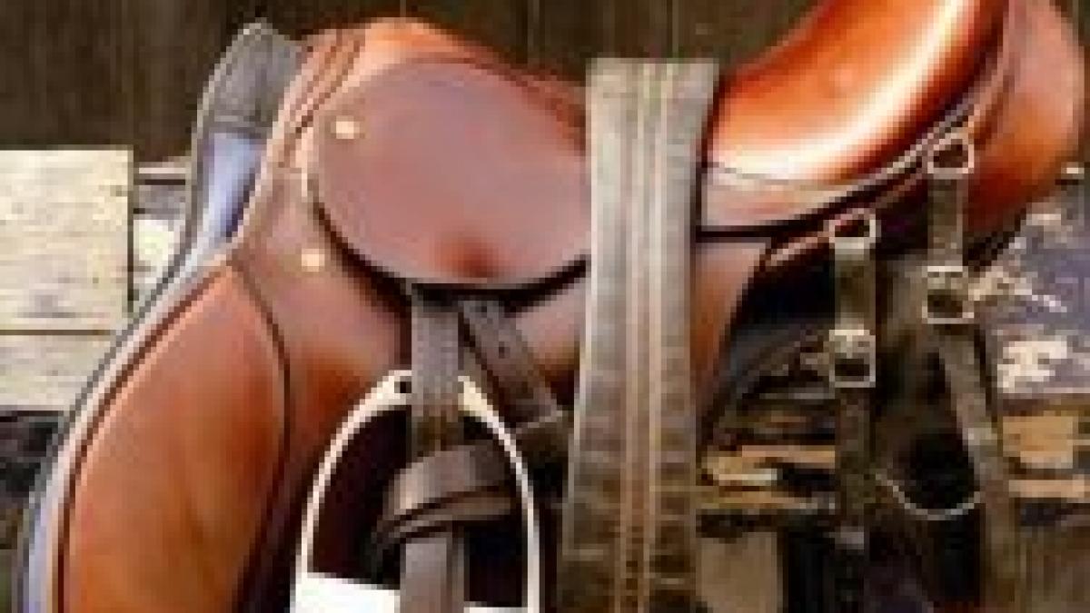 cat trebuie sa platesti pentru sportul nobil afla pretul unui costul pentru echitatie