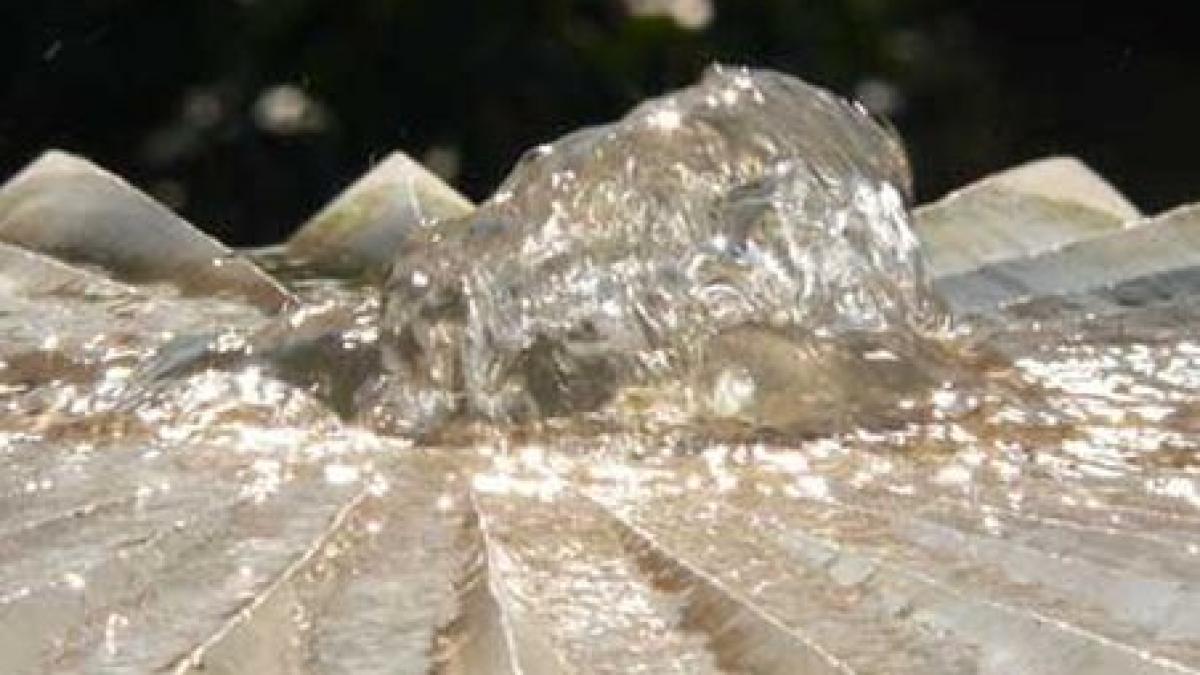 de ce apa fierbinte ingheata mai repede decat apa rece ai un raspuns pertinent esti mai bogat cu 1