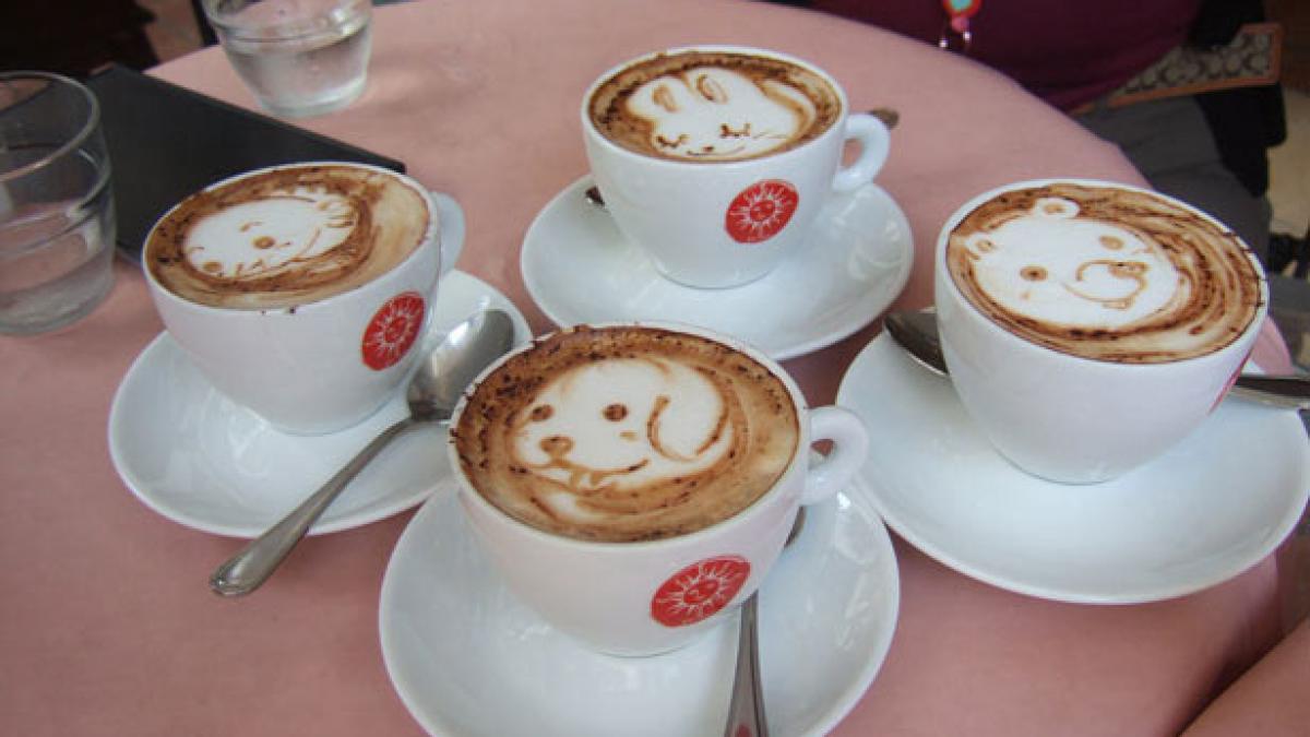 in fiecare dimineata cafeaua da pofta de viata 20 de desene in cestile de cafea