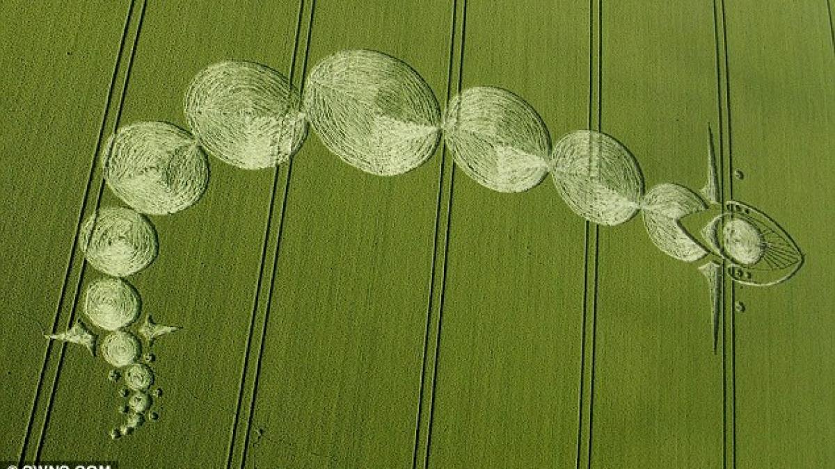 au fost socati cand au vazut semnele din lanurile de cereale cercetatori nu avem niciun raspuns