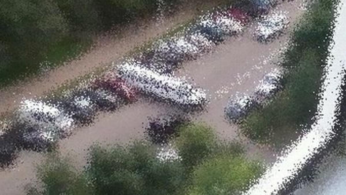 daca era roman am fi putut jura ca si a luat permisul la pitesti o parcare cum n ati mai vazut