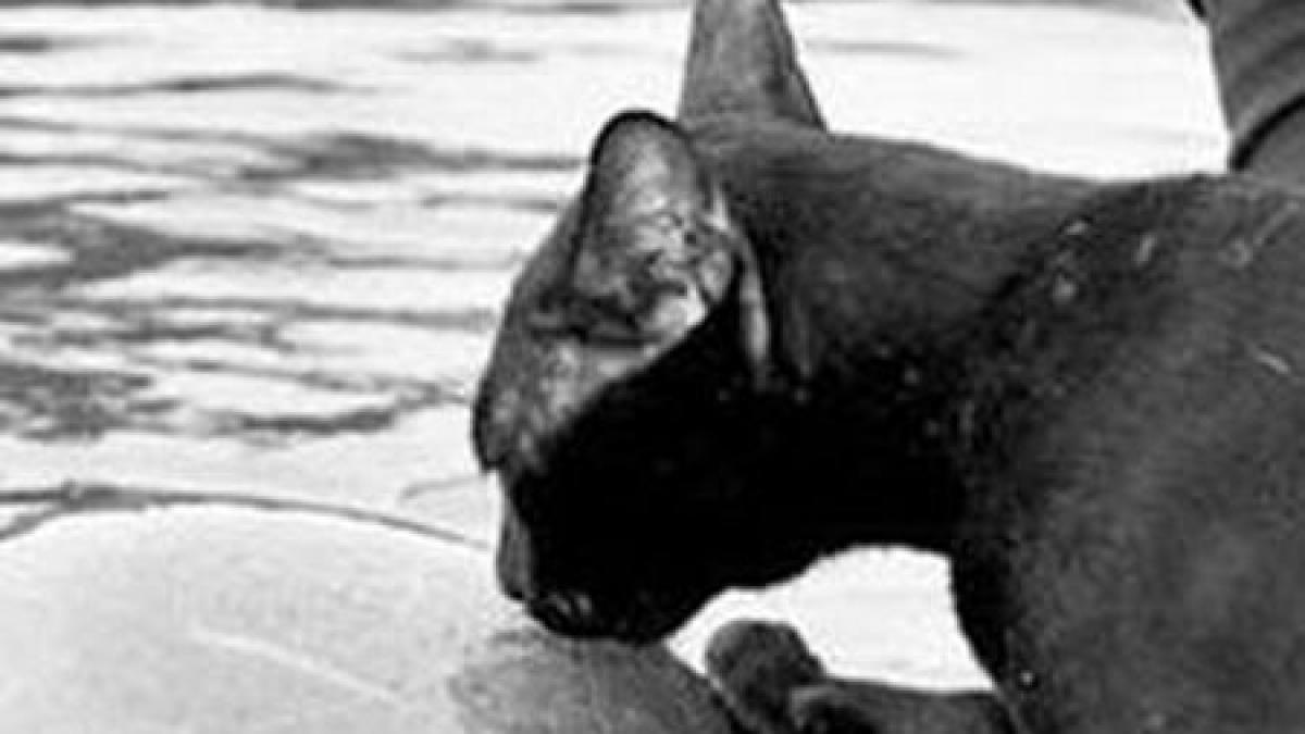 fotografia care spune te iubesc intr un mod la care nu te asteptai