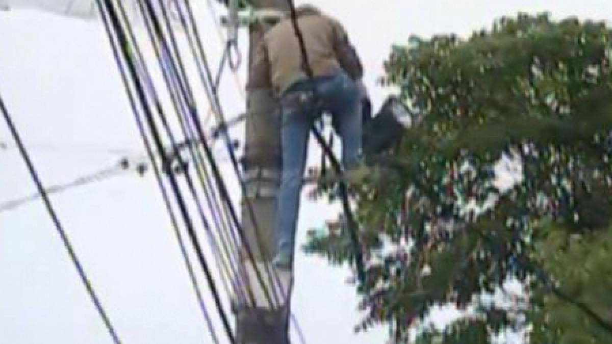 protest la cotroceni s a catarat pe un stalp de electricitate si ameninta ca se arunca daca nu vine