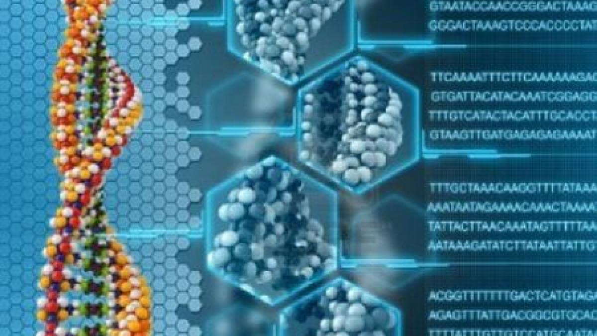 analiza adn care va revolutiona medicina cardiovasculara cele mai mici malformatii cardiace