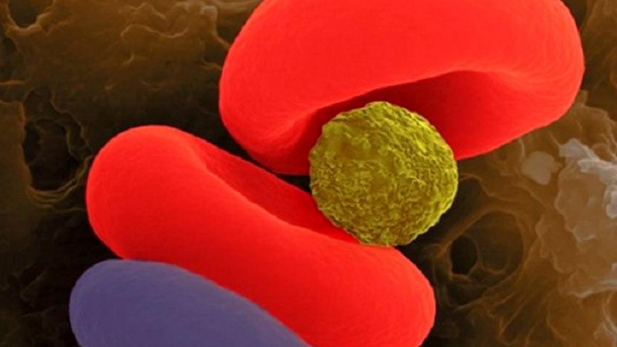 Cea mai mare descoperire medicală: omul va putea trăi FĂRĂ să respire. Milioane de oameni vor fi salvaţi