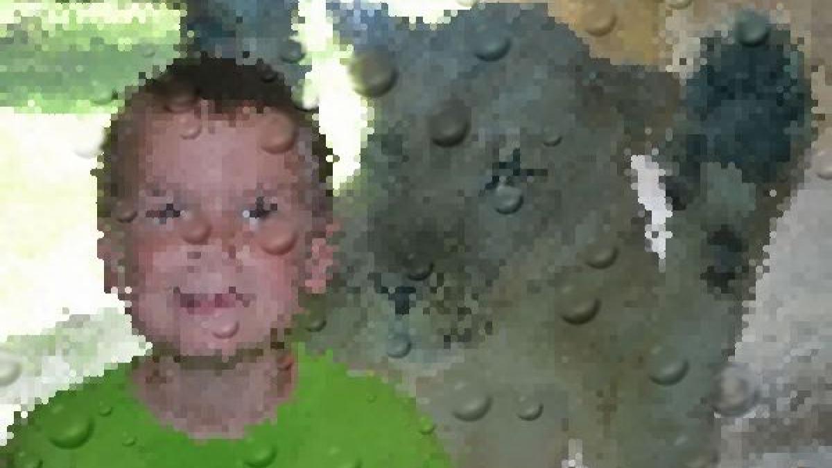 cea mai tare poza care circula pe internet n ai mai vazut niciodata asa ceva