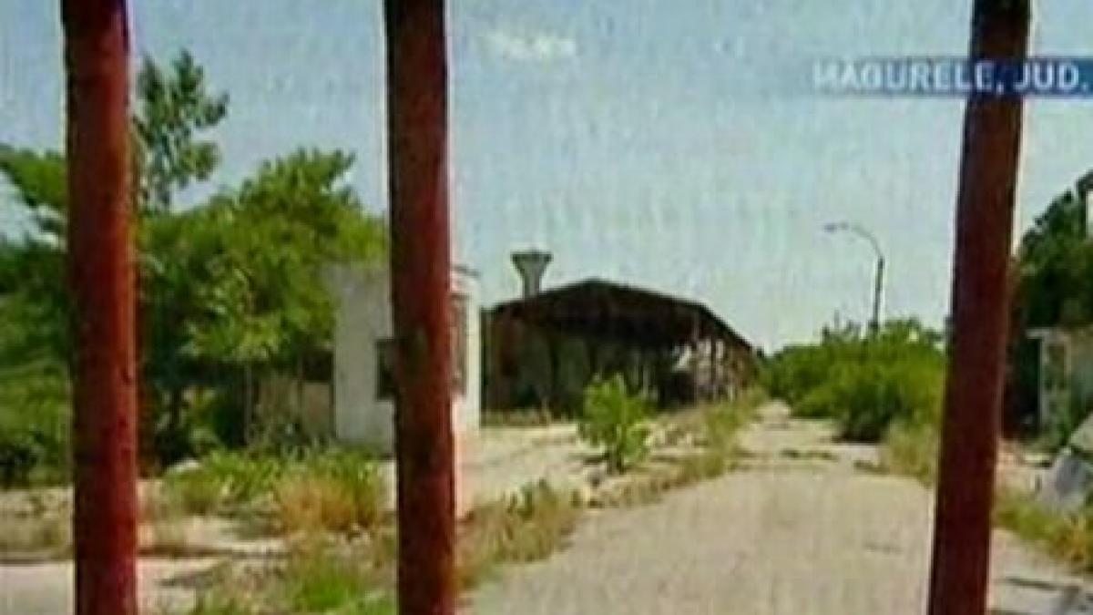 statul se da pe bani putini complexul agrozootehnic magurele vandut cu mult sub pretul pietei