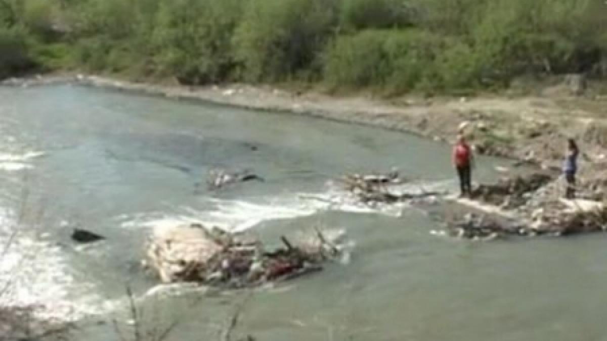tragedie in neamt trei copii si tatal lor au murit inecati in siret incercand sa se salveze unul pe tragedie in neamt trei copii si tatal lor au murit inecati in siret incercand sa se salveze unul pe