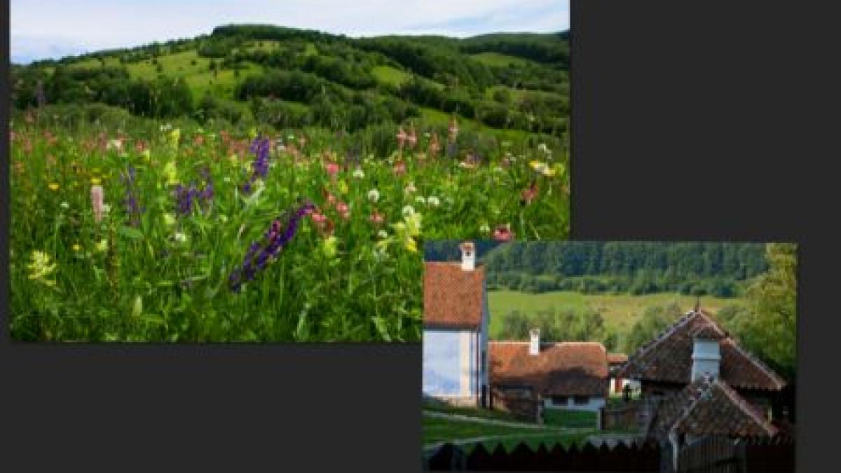 in romania se afla una dintre cele mai frumoase proprietati din lume vezi topul intocmit de vanity