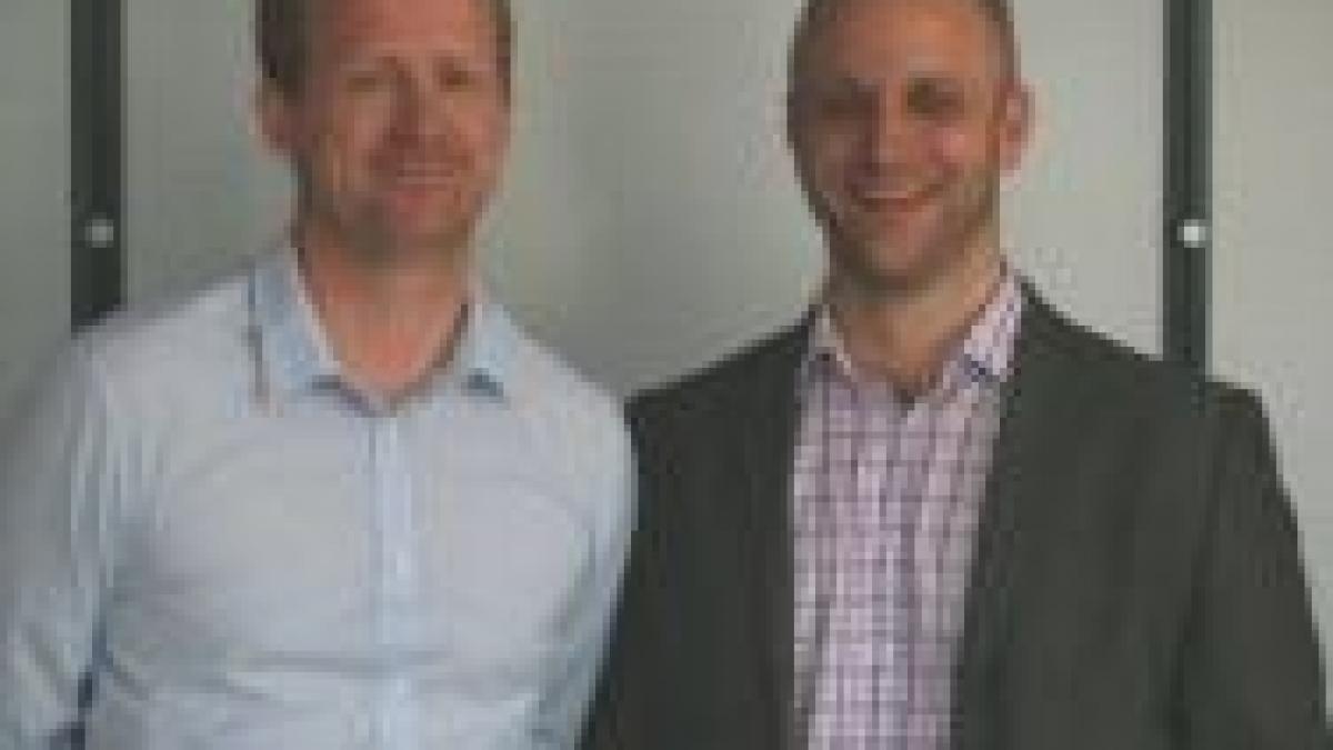 lectia de antreprenoriat care te va uimi ce au in comun oamenii de afaceri si pinguinii