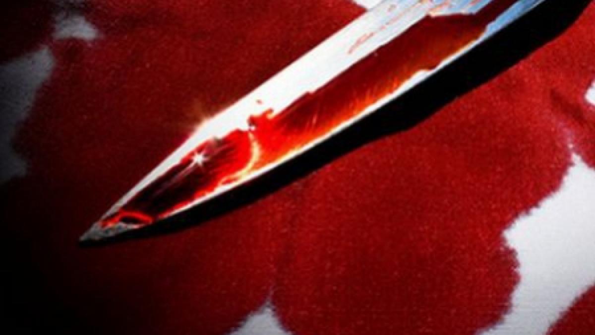 luminita solcan care l a ucis pe parintele roger a fost adusa in romania