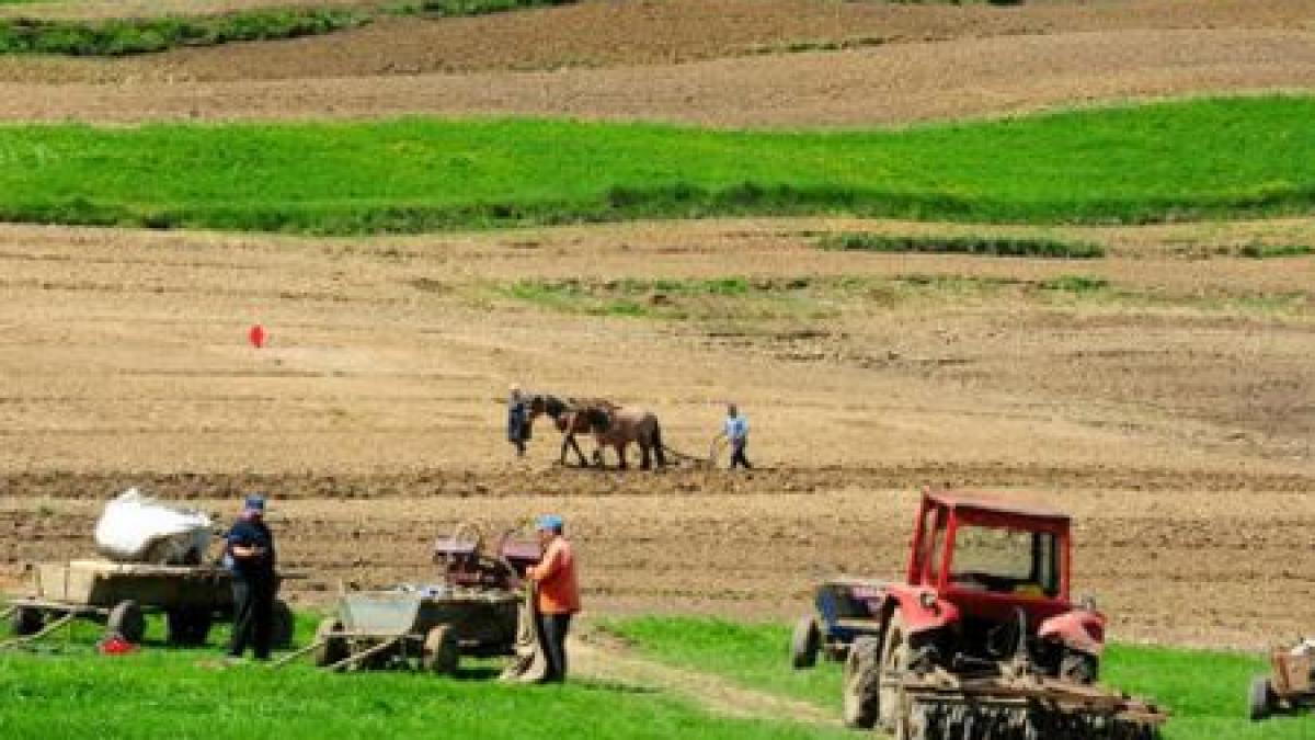 taranii ar putea scoate romania din criza cate persoane lucreaza in mediul rural fara sa plateasca