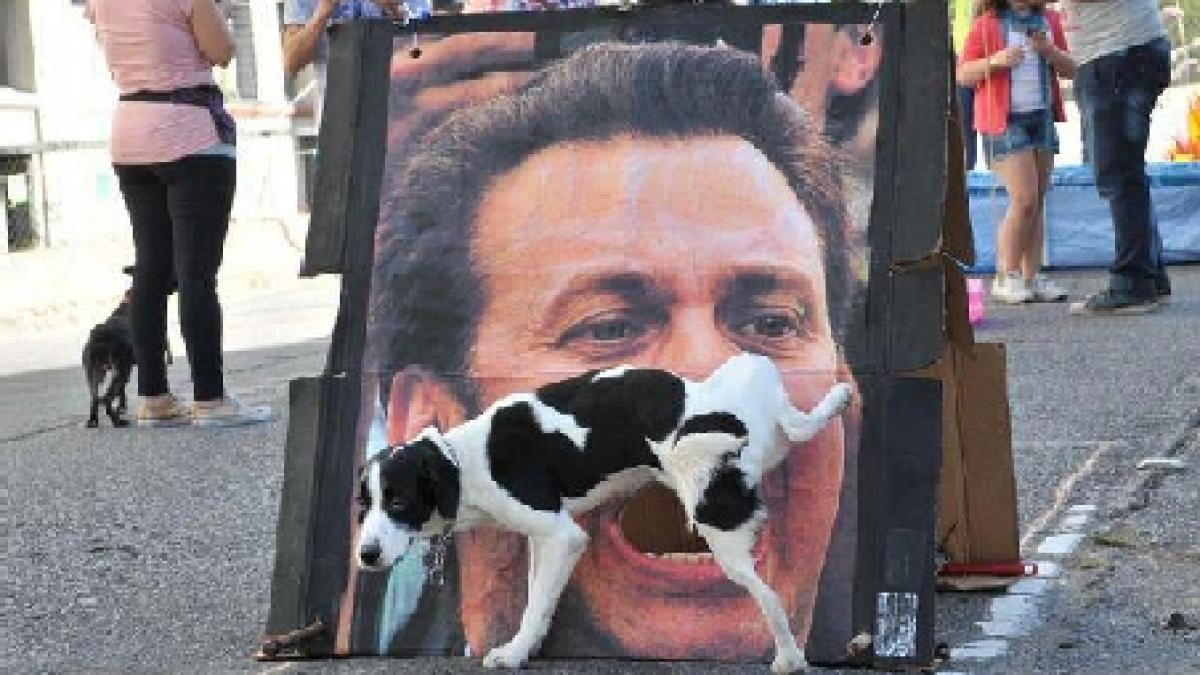 cand nevoile fiziologice isi spun cuvantul ipostaza inedita in care apare un catel in reclama