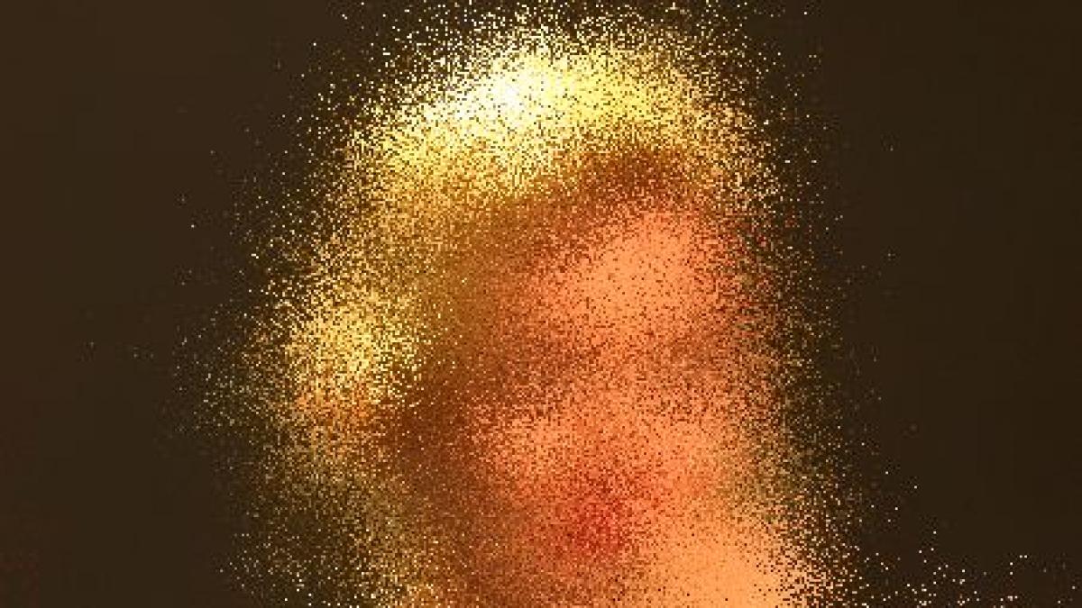 cea mai cunoscuta cantareata din lume a plans in timpul concertului de la berlin