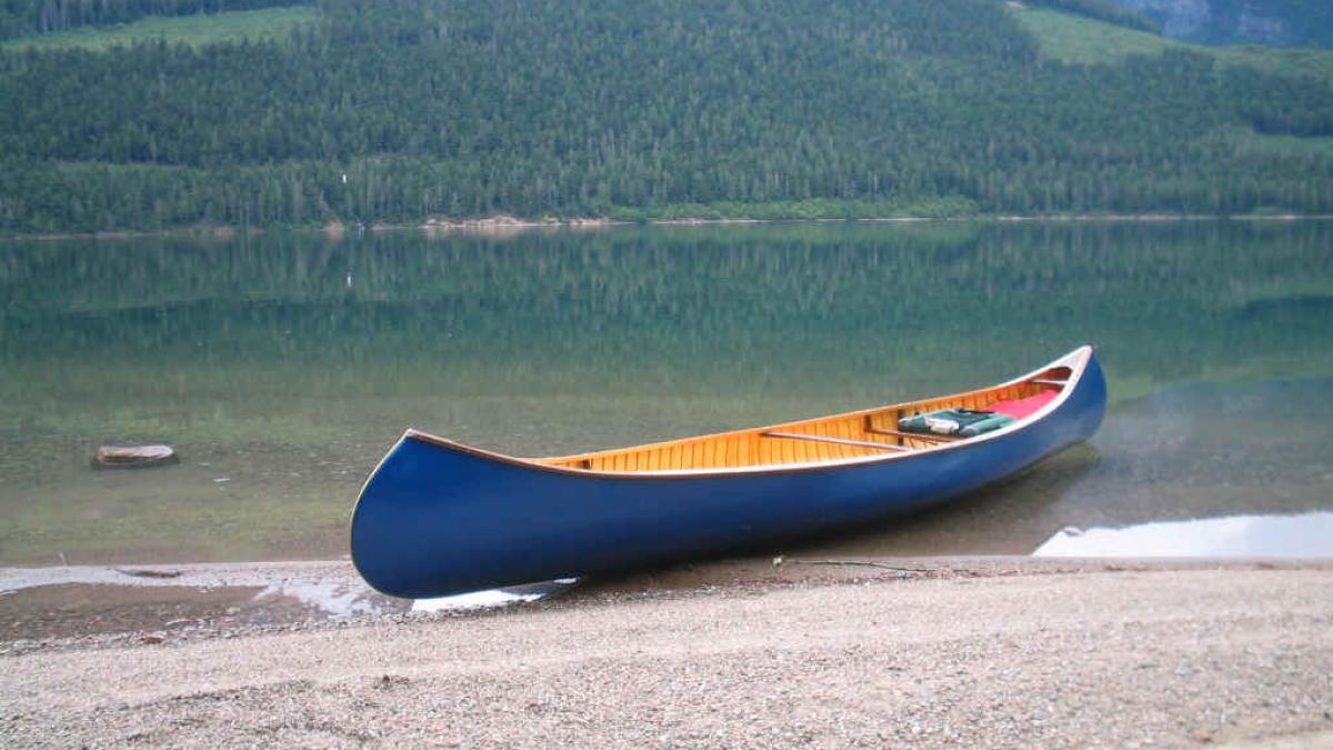 noua distractie din delta dunarii vezi cum isi petrec turistii timpul