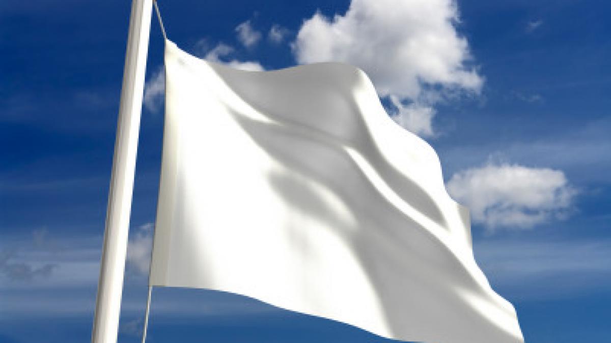 sloganul campaniei pdl vara asta se poarta alb vezi apelul facut de liderii partidului