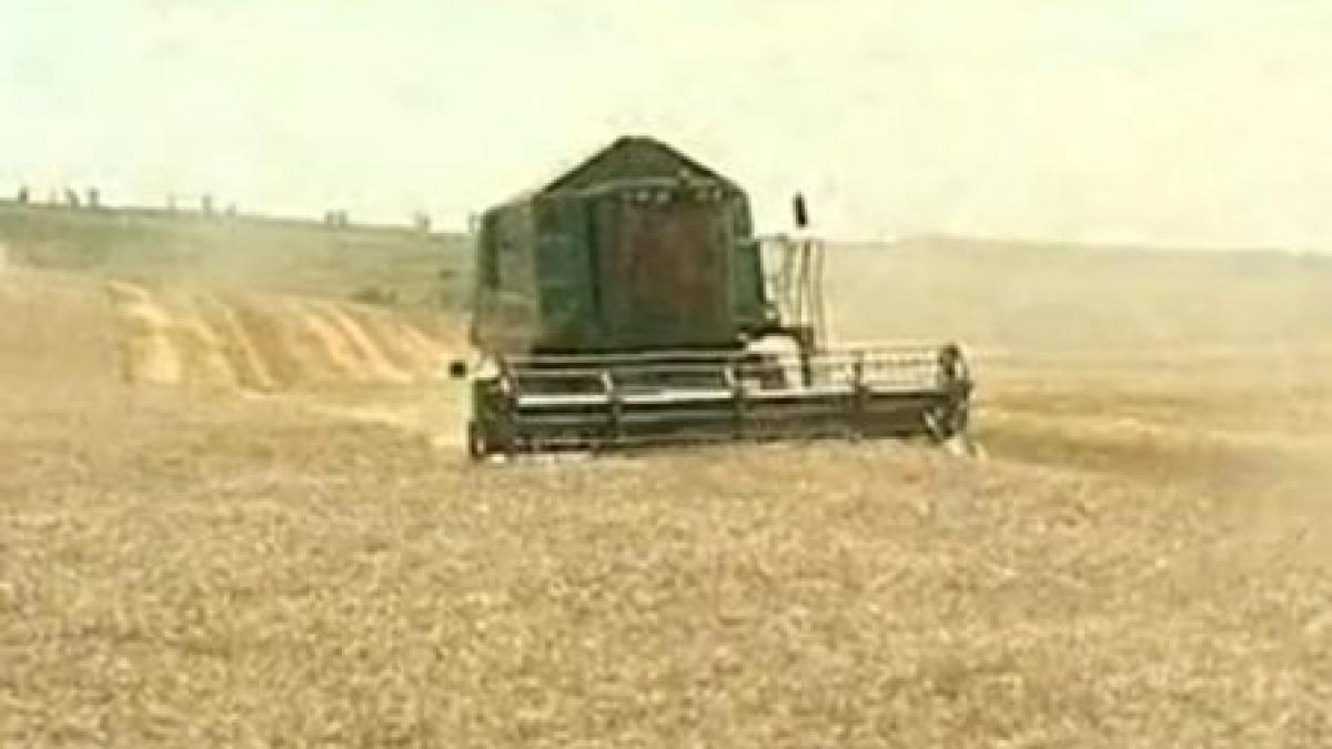 cu un tractor si cateva hectare de teren se pot scoate bani din pamant cum se imbogatesc fermierii