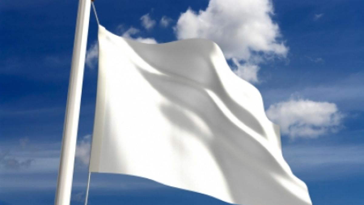 membrii pdl imbracati in culoarea puritatii vezi cine nu a respectat sloganul campaniei