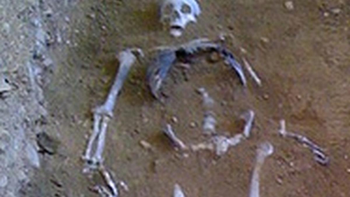 schelet uman descoperit in zona pietei abator din cluj napoca