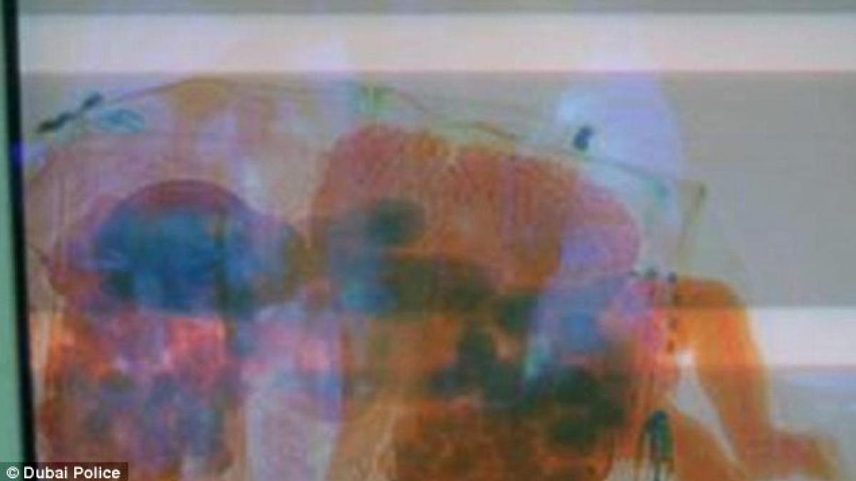 personalul aeroportului a fost socat cand a scanat bagajul unor tineri vezi ce carau acestia in