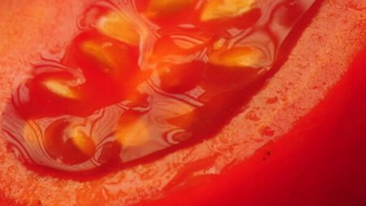 cum a distrus agricultura moderna savoarea celei mai gustoase legume