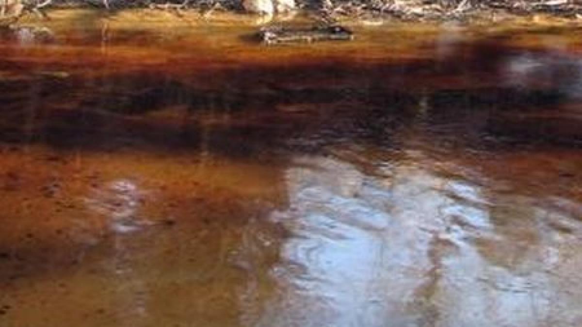 dusmanul nevazut care ne ucide incetul cu incetul cum lupta autoritatile cu otrava din apa