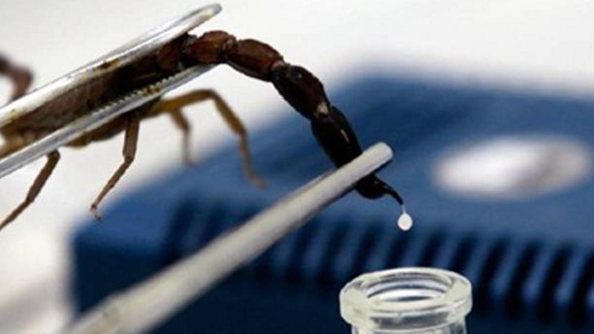 cuba a realizat un medicament minune impotriva cancerului