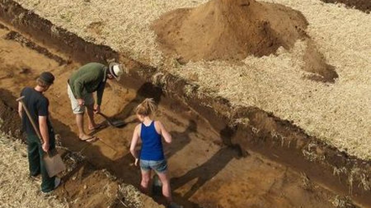 descoperirea remarcabila facuta de arheologi in nordul germaniei