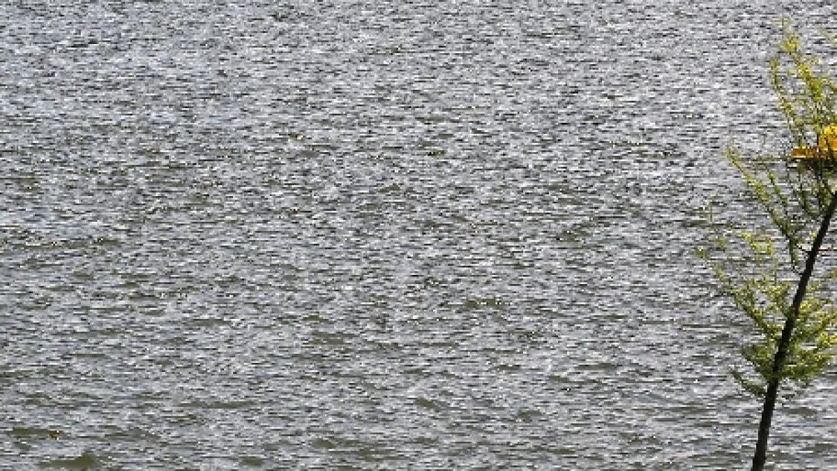 botosani un barbat de 65 de ani si nepoata acestuia au fost gasiti inecati intr un iaz