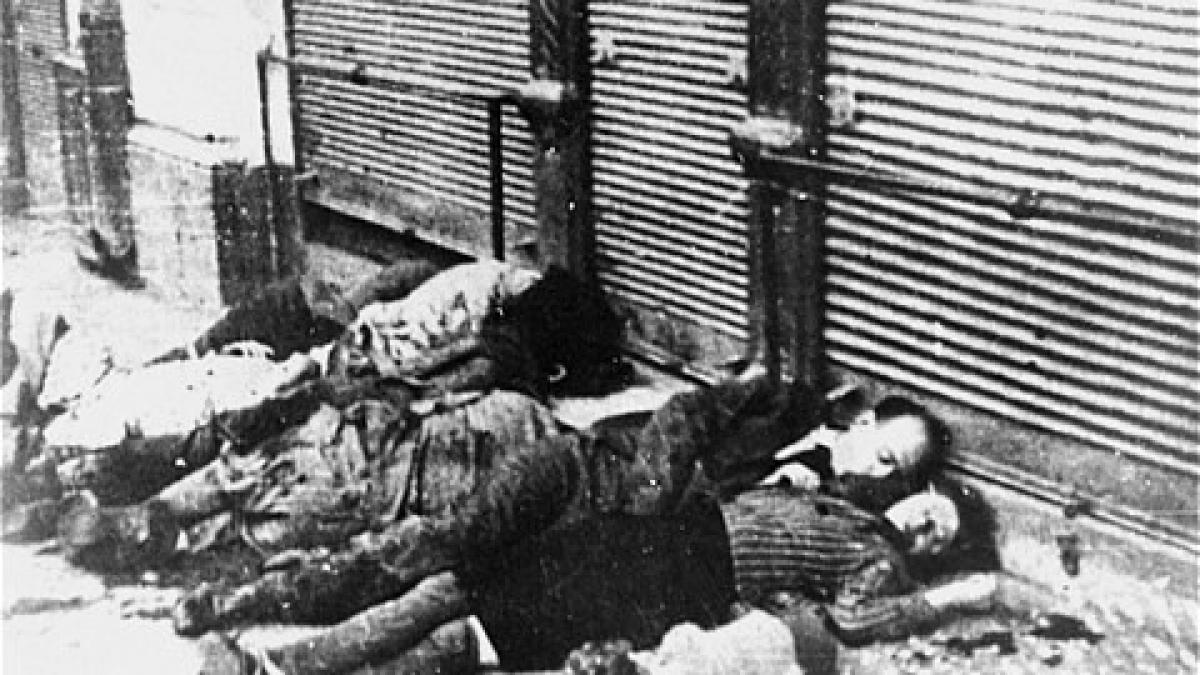 omenia siropoasa n are ce cauta aici fiti fara mila cu ei povestea scrisa cu sange a holocaustului