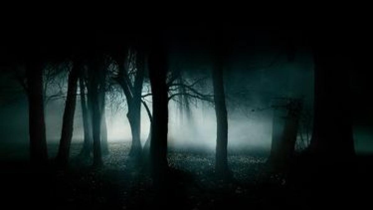 crimele infioratoare din spatele familiei perfecte cadavrele a trei copii nevinovati au fost gasite