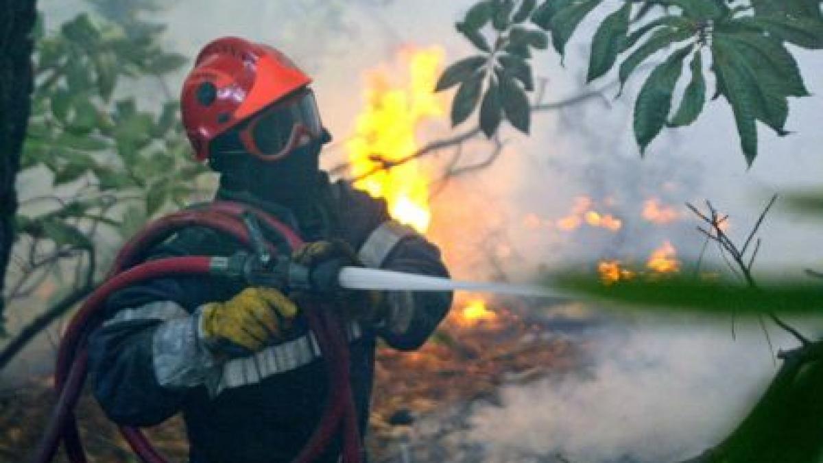 incendiu de vegetatie uscata si padure in apropierea parcului national cheile bicazului hasmas