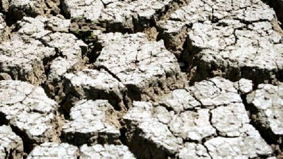 pamantul se topeste si in sua cea mai grava seceta din ultima jumatate de secol