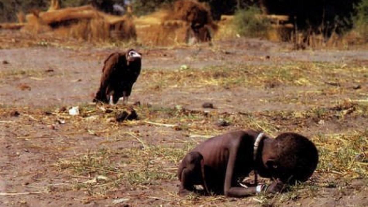 copilul pandit de vultur povestea din spatele celebrei fotografii de pulitzer a lui kevin carter