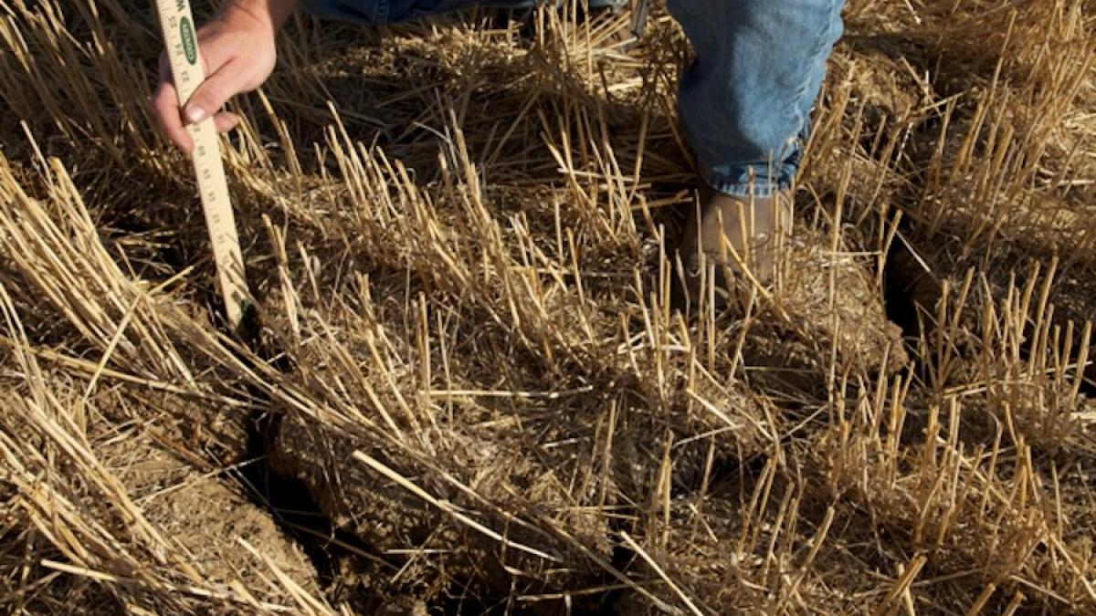 imaginile care arata dezastrul pamantul isi striga durerea fermierii sunt disperati cat ne costa