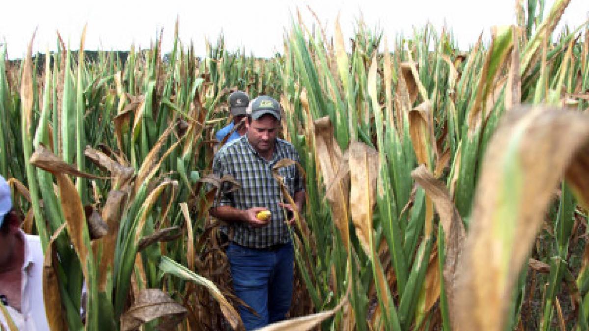 fenomenul care va omori milioane de oameni cand civilizatia ajunge la disperare