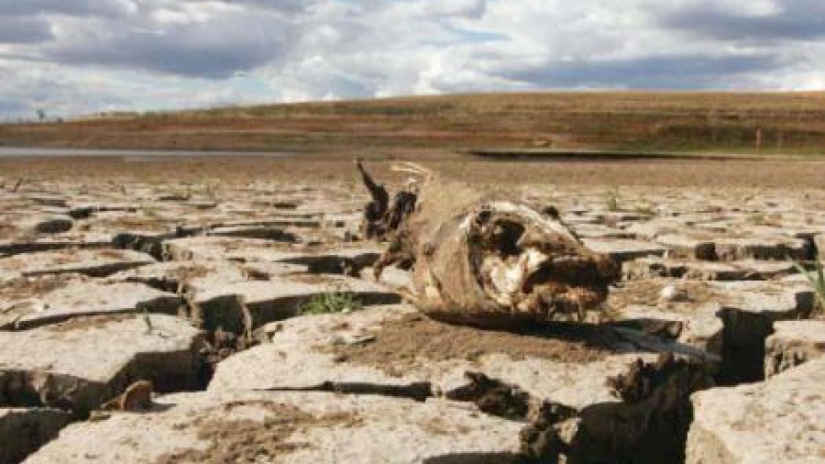 sua la un pas de catastrofa nationala acest fenomen natural va face ca preturile alimentelor sa