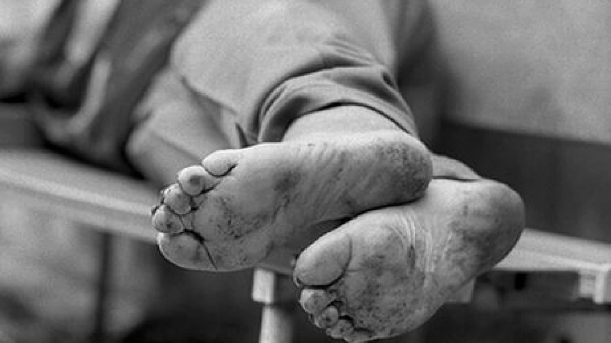 tanarul roman care traieste in copac are 18 ani si nici o sansa pentru un viitor mai bun