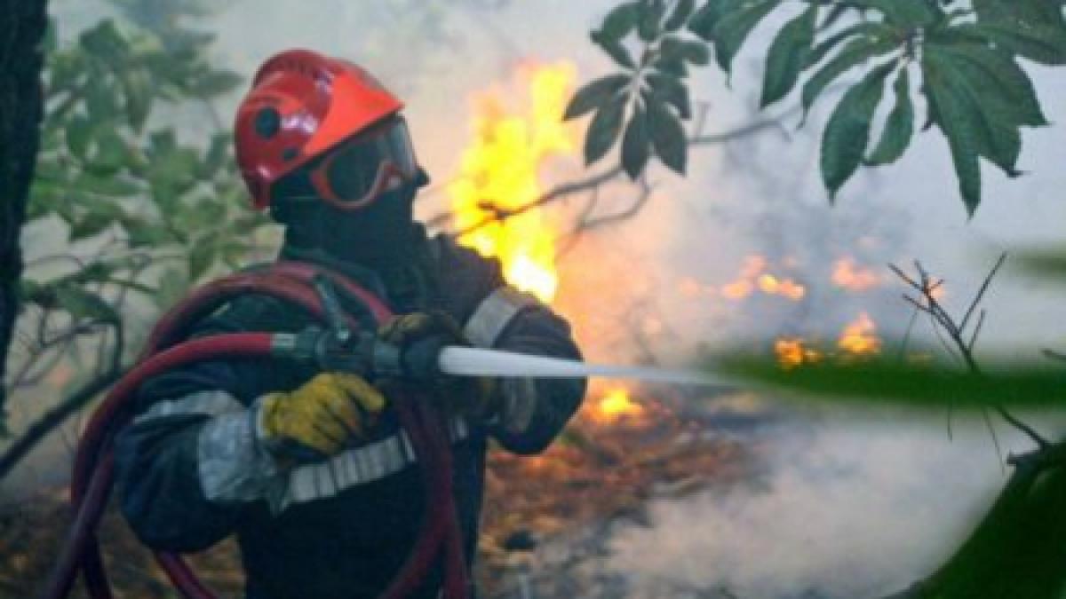 incendiu pe un teren al casei regale in masivul bucegi flacarile au cuprins 2 000 de metri patrati