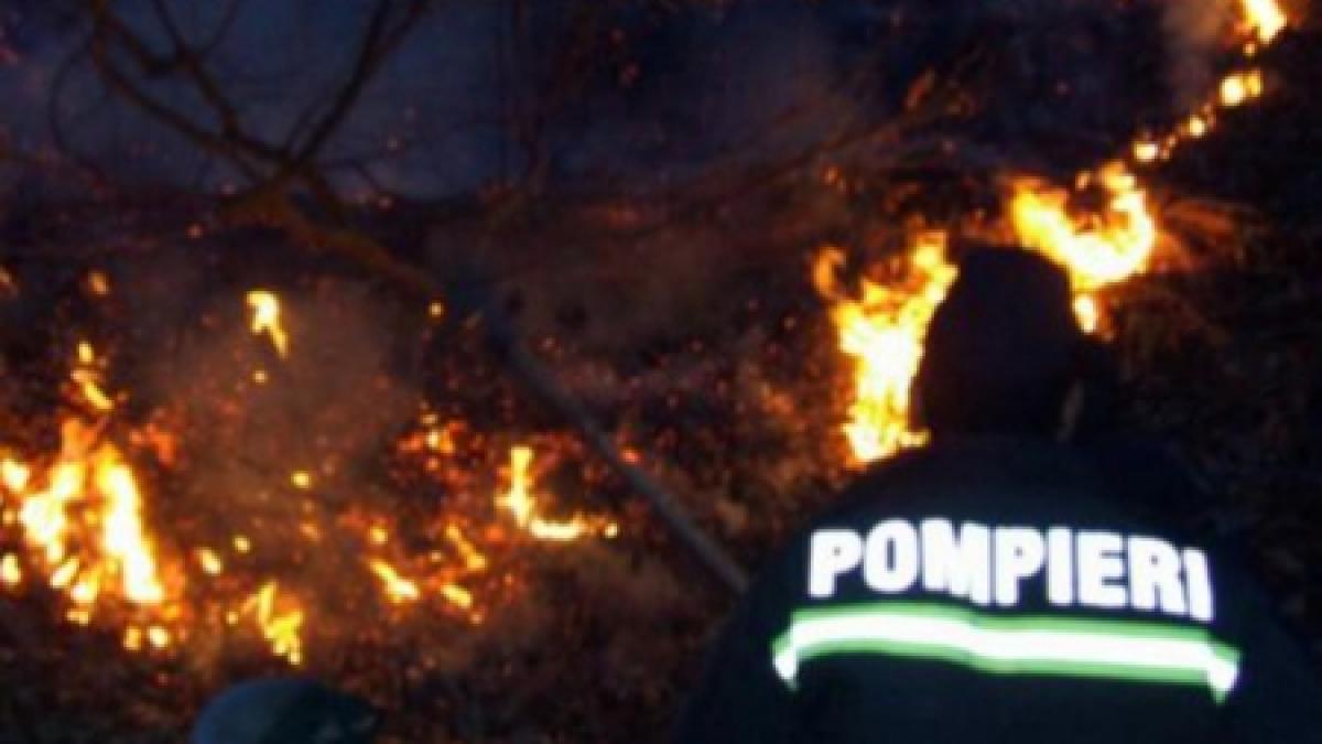 incendiu de vegetatie in zona lacului vacaresti flacarile au cuprins 2 000 de metri patrati