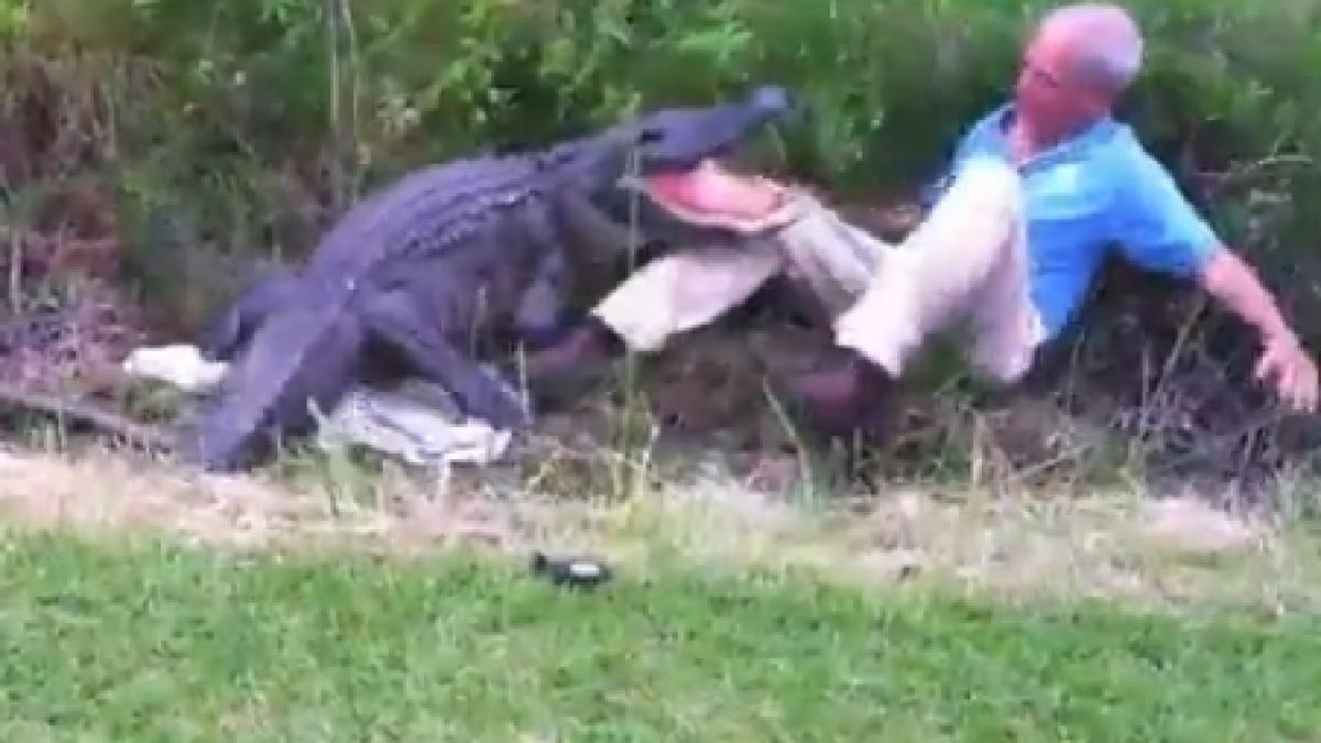 a privit moartea in fata si a scapat unul dintre cele mai temute animale putea sa ii vina de hac