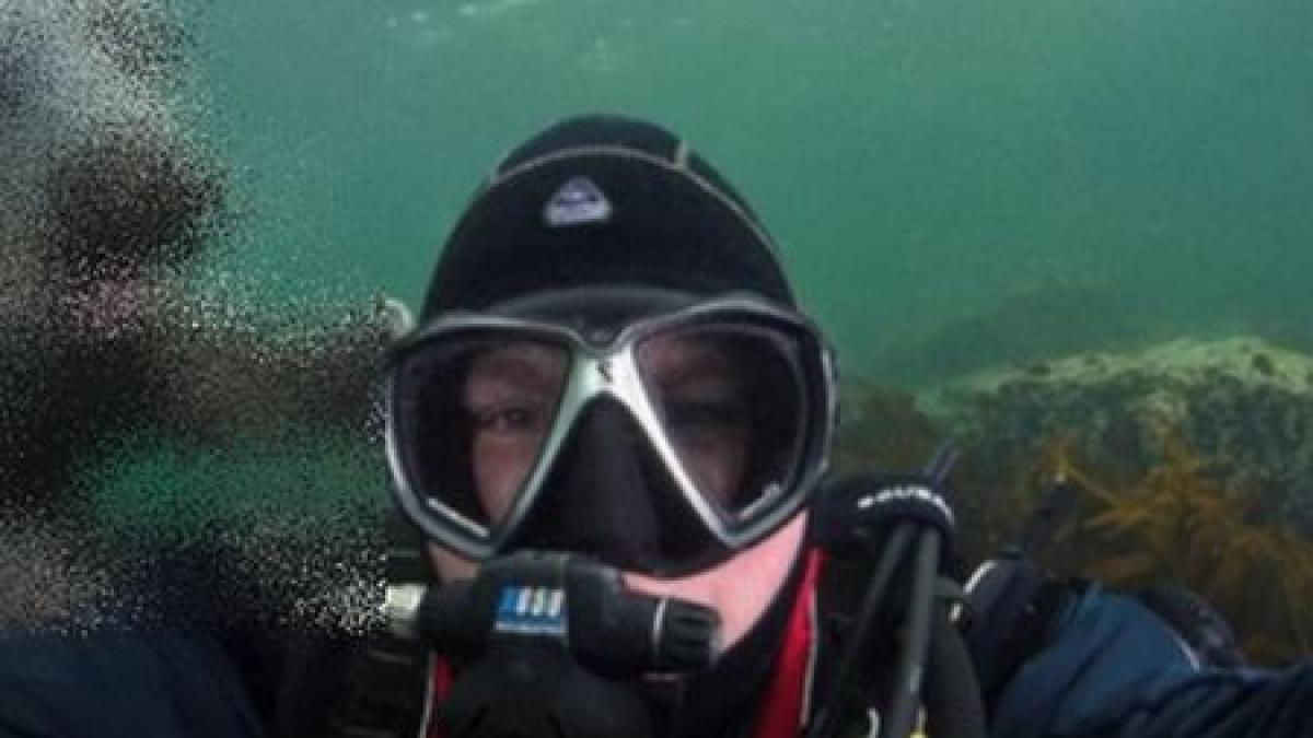 cea mai simpatica fotografie de pe internet intalnirea neasteptata din adancul marii