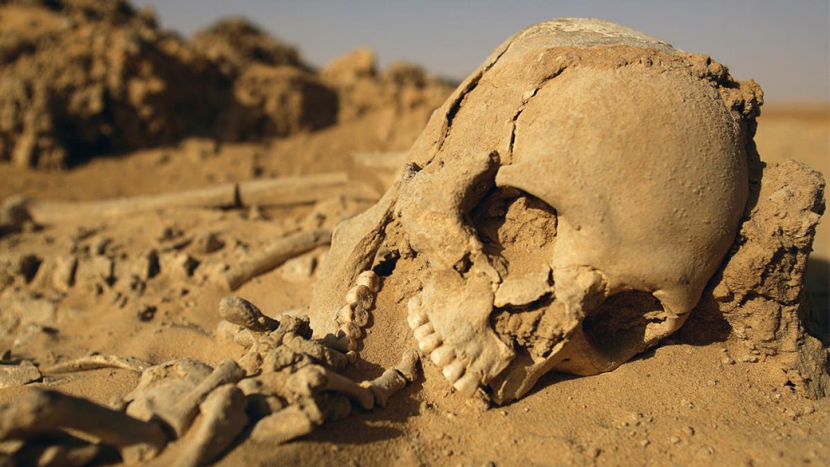 descoperirea uluitoare dintr un mormant sucevean trupul neinsufletit al unui tanar de 20 de ani