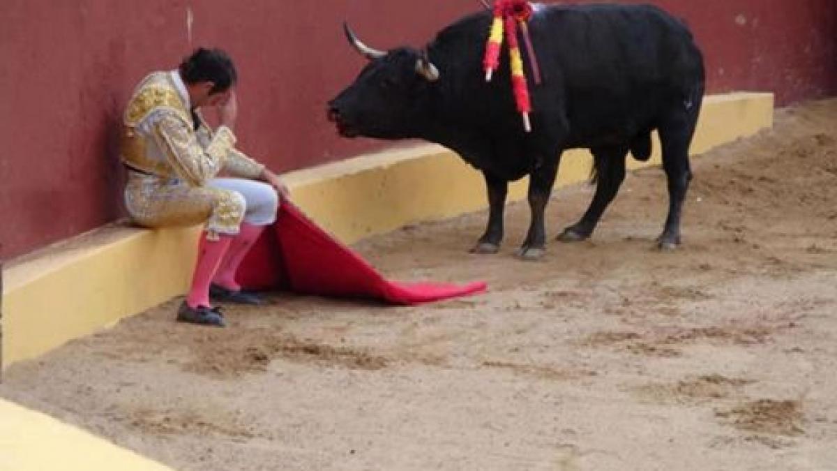 imaginea emotionanta care a lasat milioane de oameni in lacrimi ce se intampla cand refuzi moartea